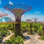 Dia-diem-tham-quan-o-vinh-Marina-Bay-Singapore-toan-canh-Gardens-by-the-Bay